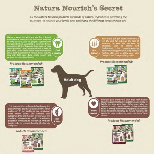 NATURA NOURISH Neo 鱷魚潔齒骨(薄荷綠茶) -  中大型10kg犬隻以上用